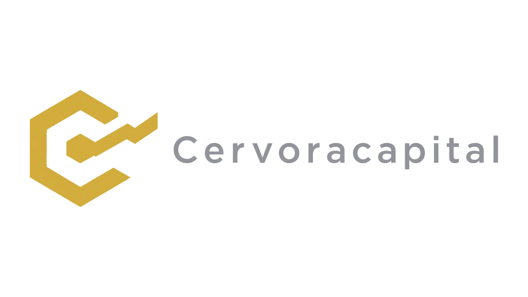 cervoracapital.com